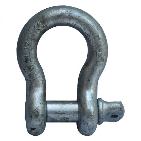 Bow Shackle With Screw Pin