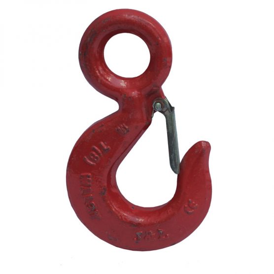 Eye Hook With Latch