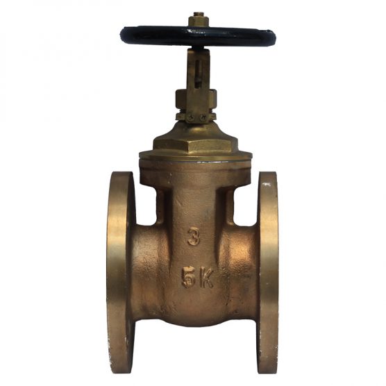 Gate Valve