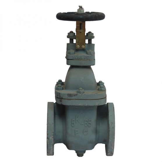 Marine Gate Valve