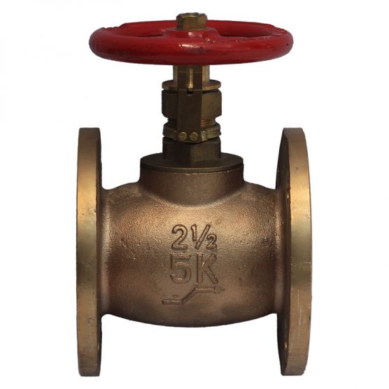 SDNR Globe Valve